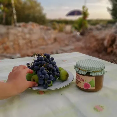 House Robinson House Prázdninový dům *