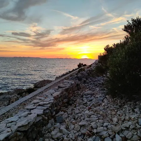 Prázdninový dům House Robinson House *