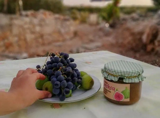 House Robinson House Feriehus *