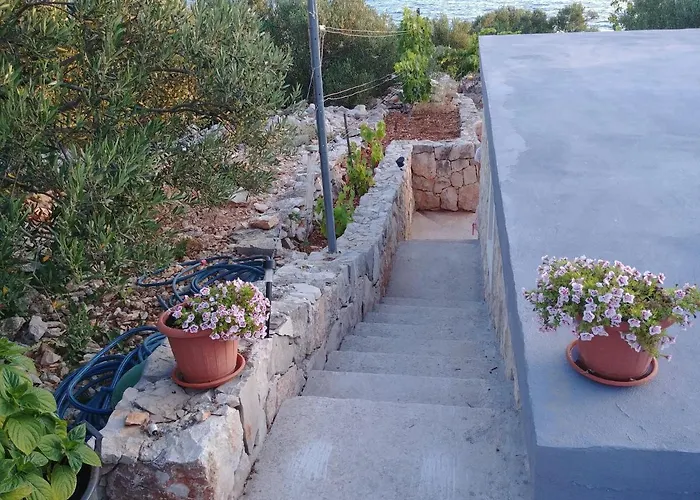 Feriehus House Robinson House *