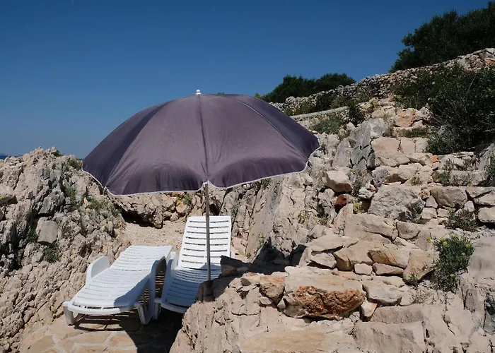 Vakantiehuis House Robinson House *