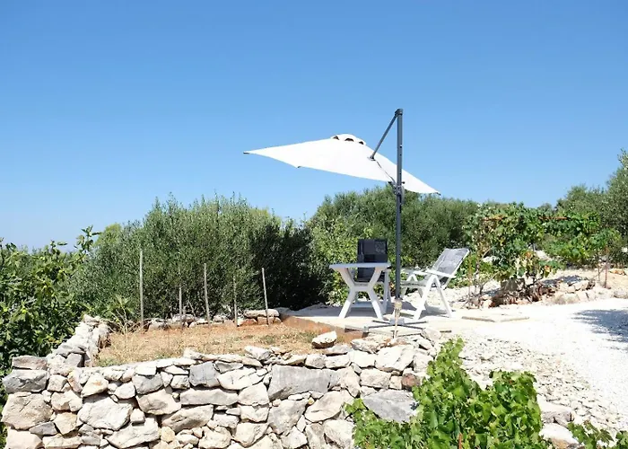 House Robinson House