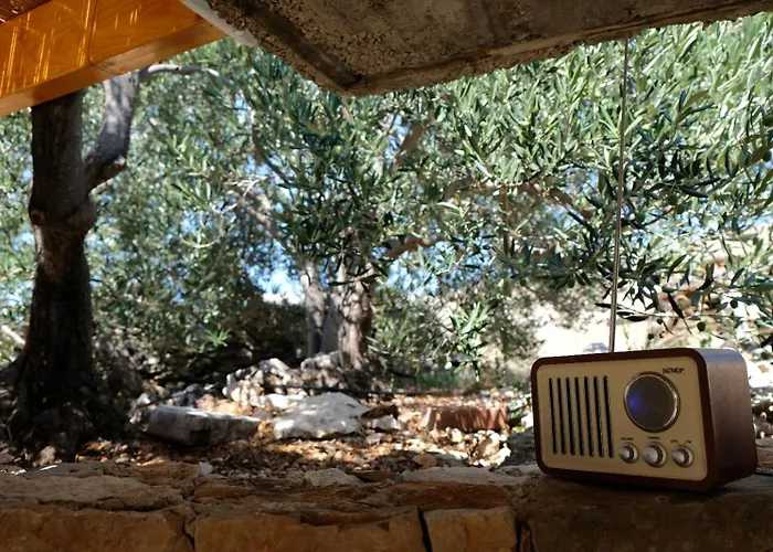 House Robinson House Vakantiehuis