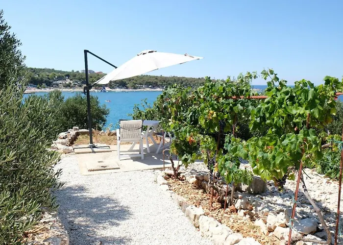 Vakantiehuis House Robinson House