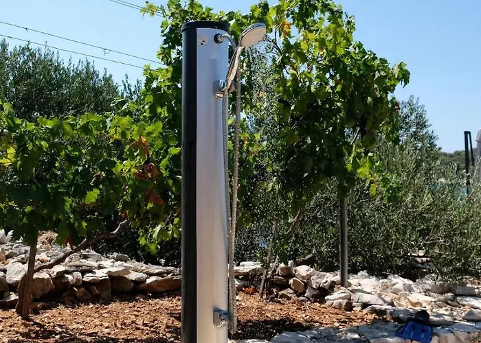 House Robinson House