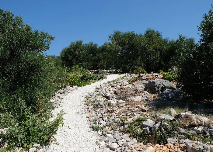 House Robinson House *