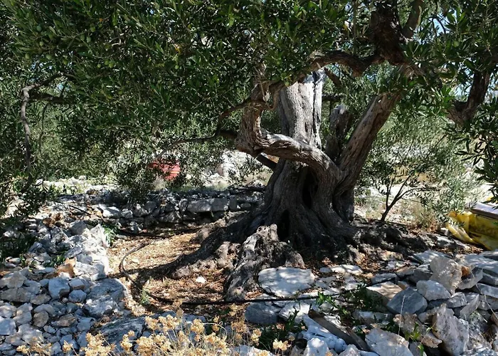 House Robinson House Feriehus Dolac