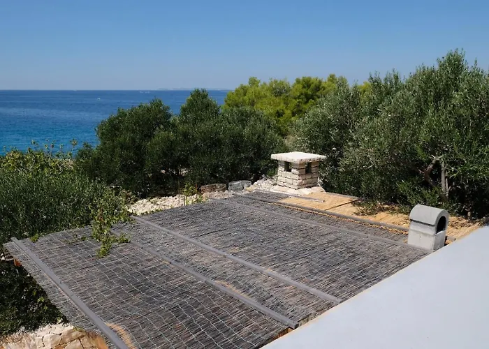 Vakantiehuis House Robinson House