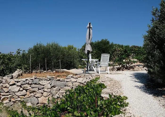 Vakantiehuis House Robinson House