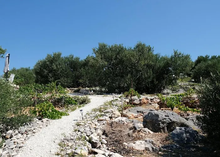 House Robinson House *