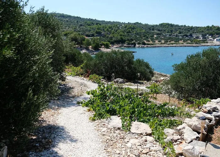 Vakantiehuis House Robinson House